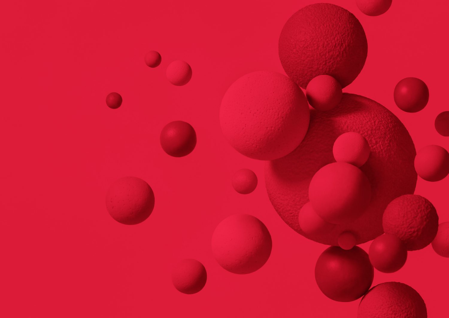 Article Banner 6