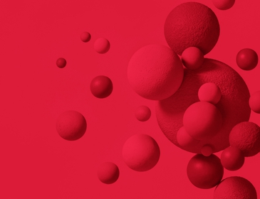 Article Banner 6