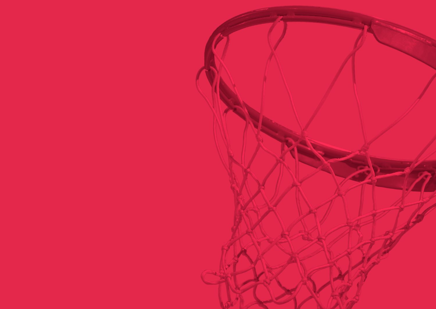 Article Banner 9