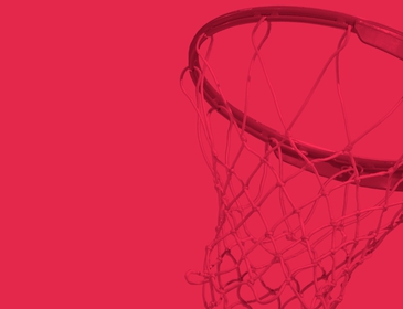 Article Banner 9
