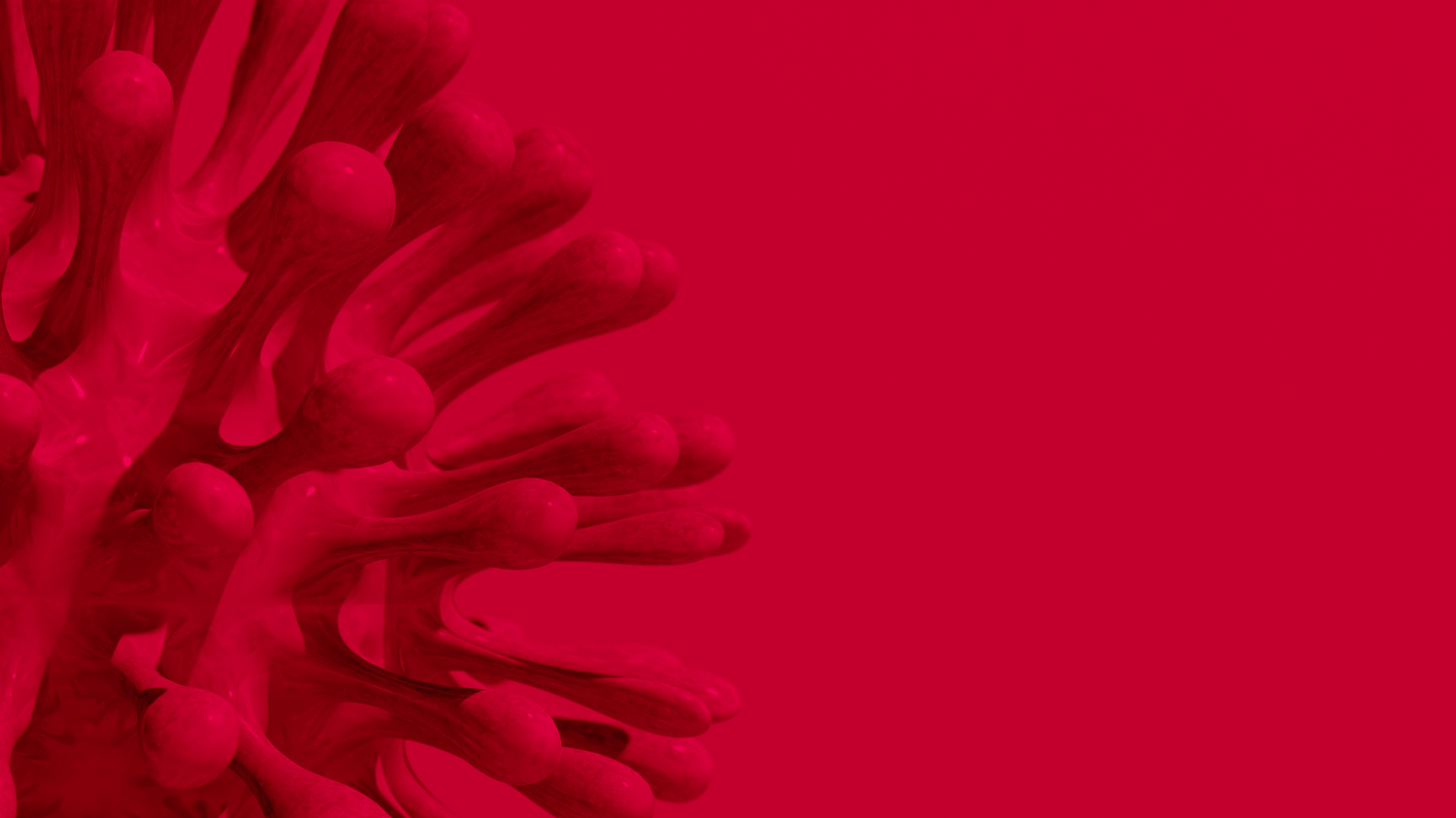 COVID 19 Leading Through the Crisis II article