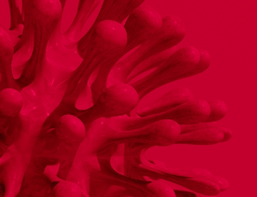 COVID 19 Leading Through the Crisis II