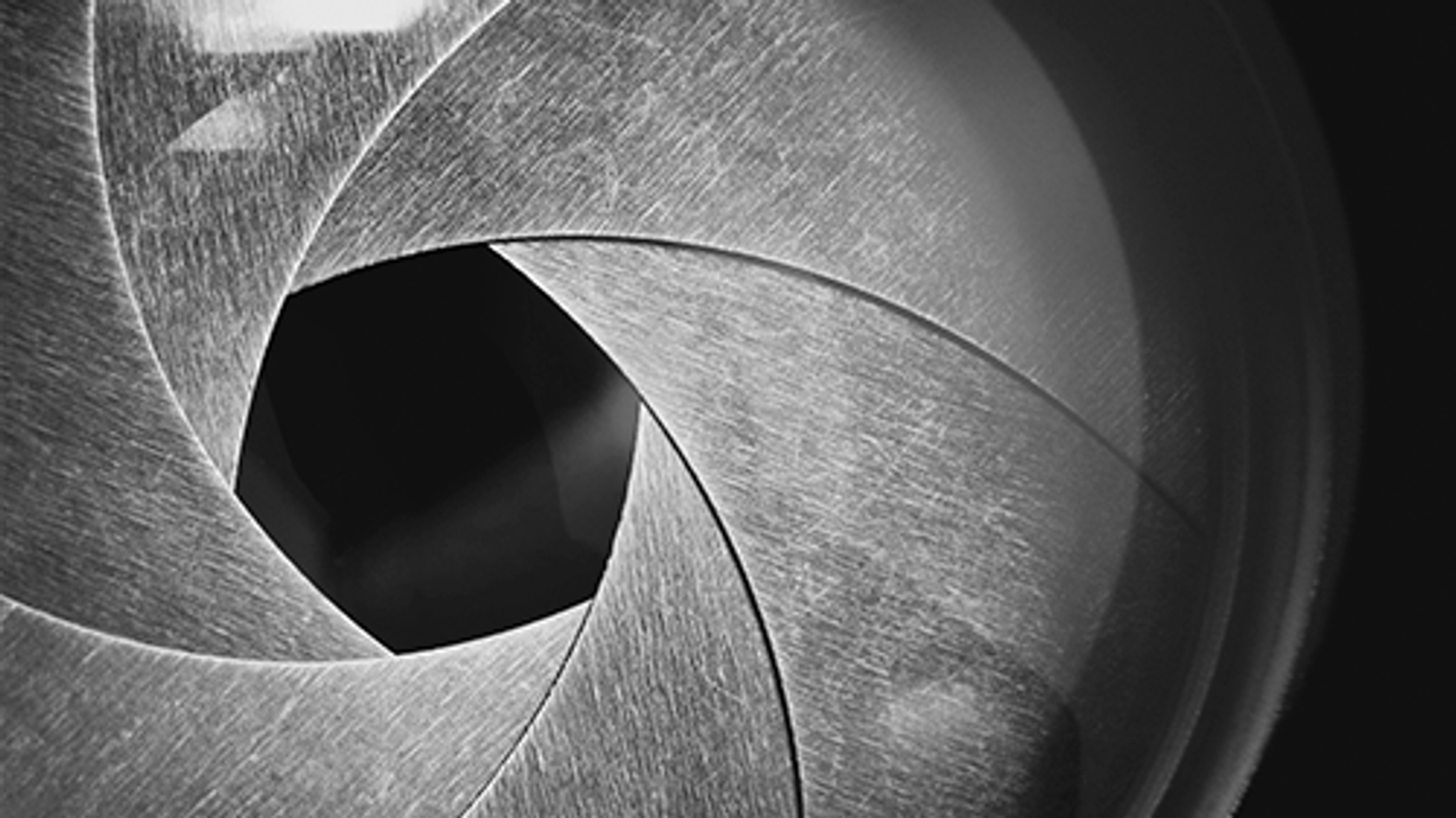 Capabilities management search