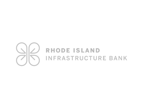 RIIB Logo Gray