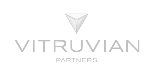 Vitruvian Partners Logo Gray