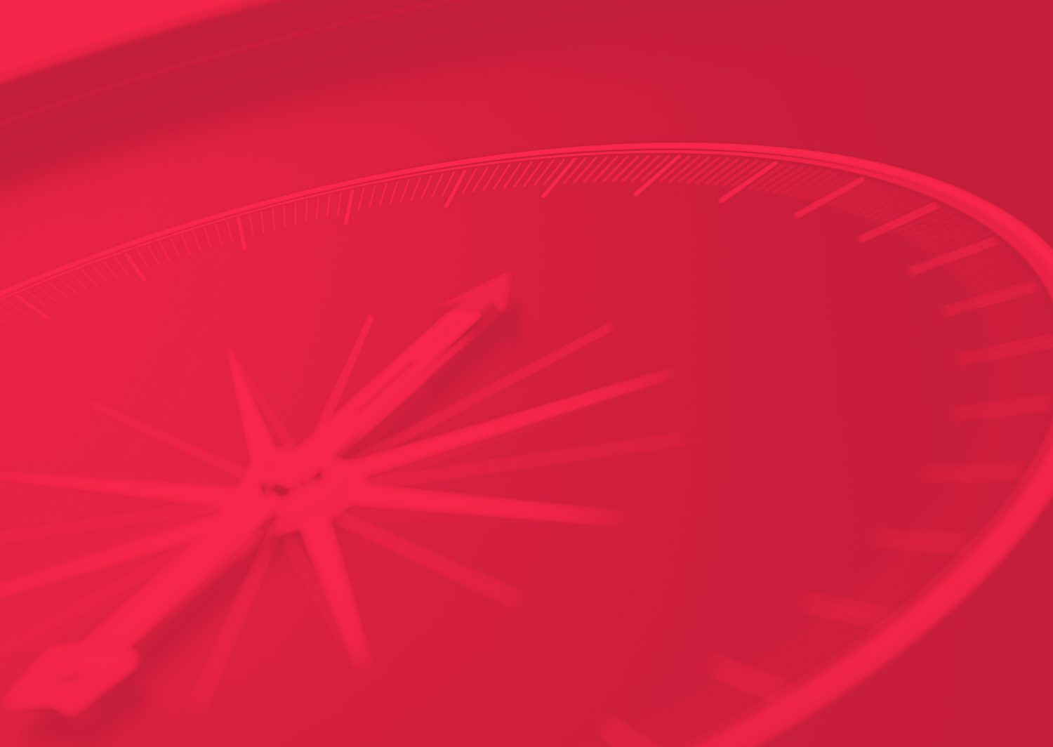 Web Image 1