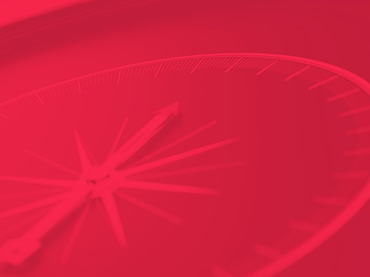 Web Image 1