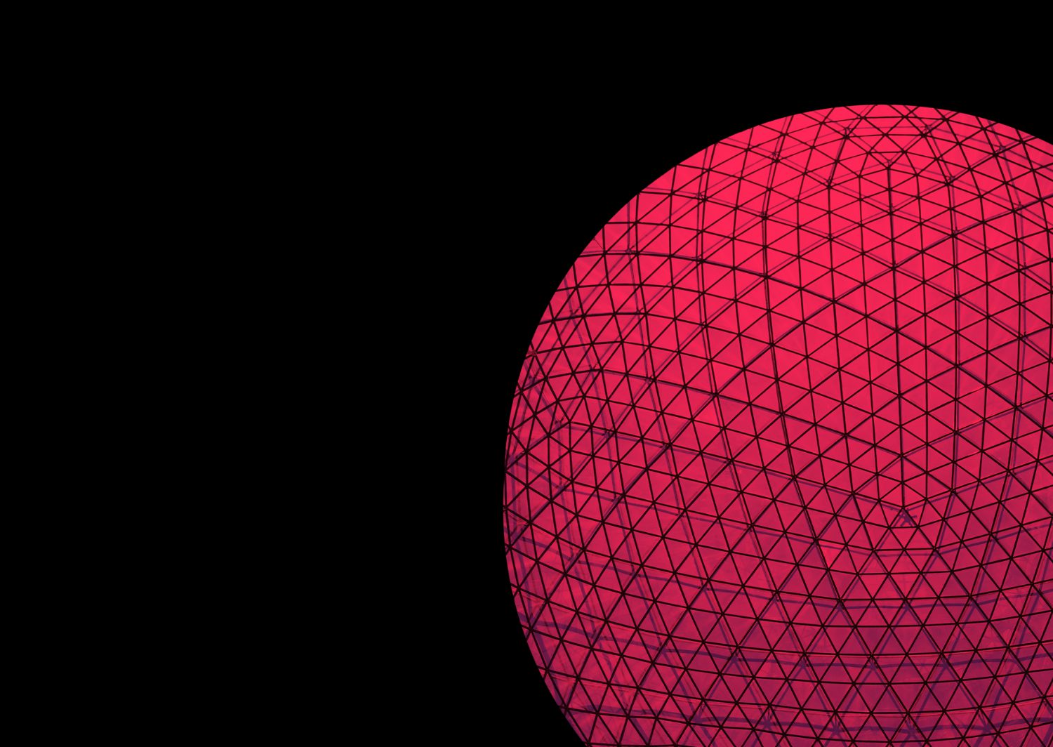 Web Image 4