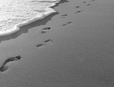 16 EDCFA1 155 D 0227 2 A4 BD2 F29494 B42 B medium