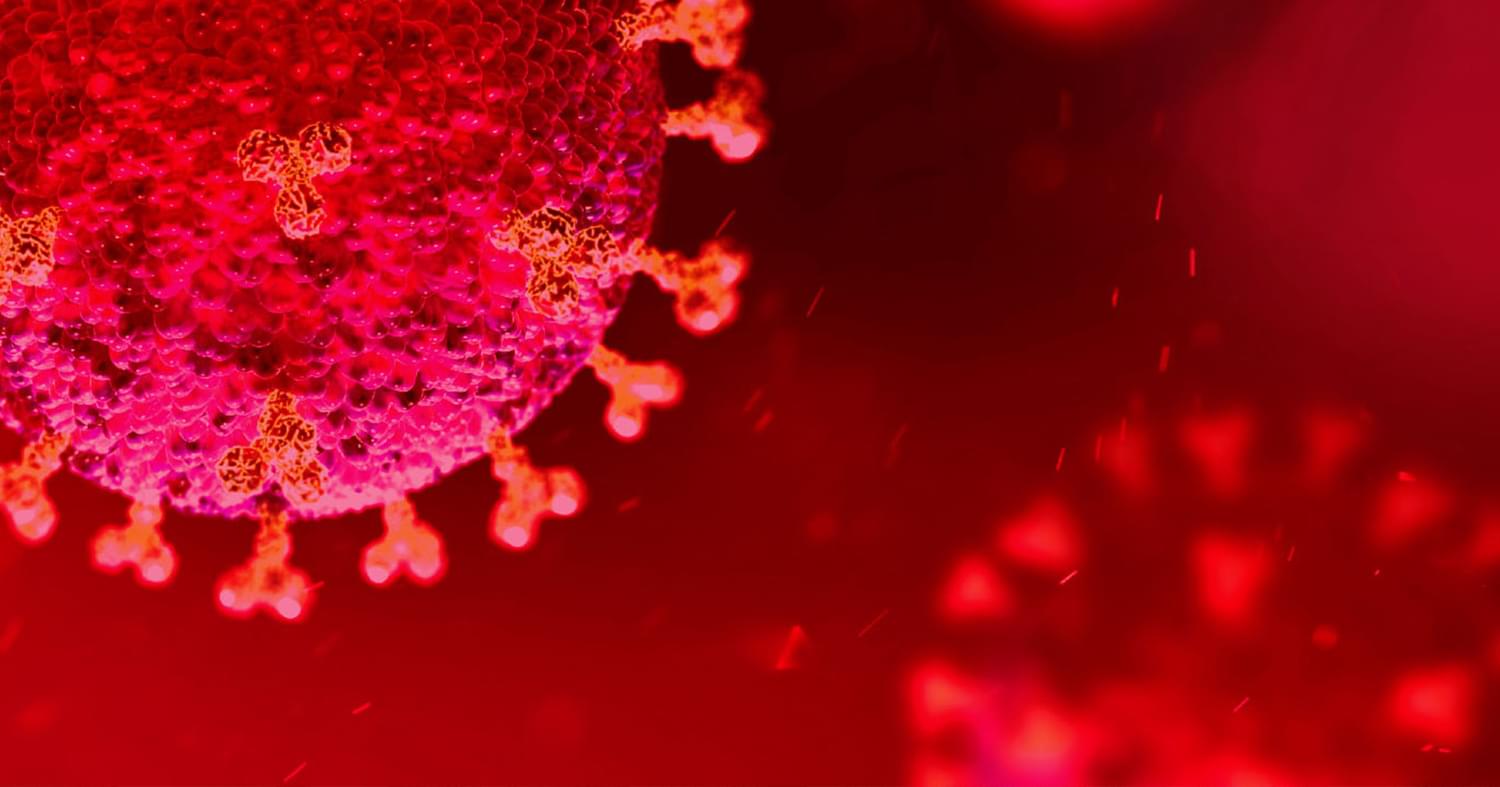 Covid Website Horizontal