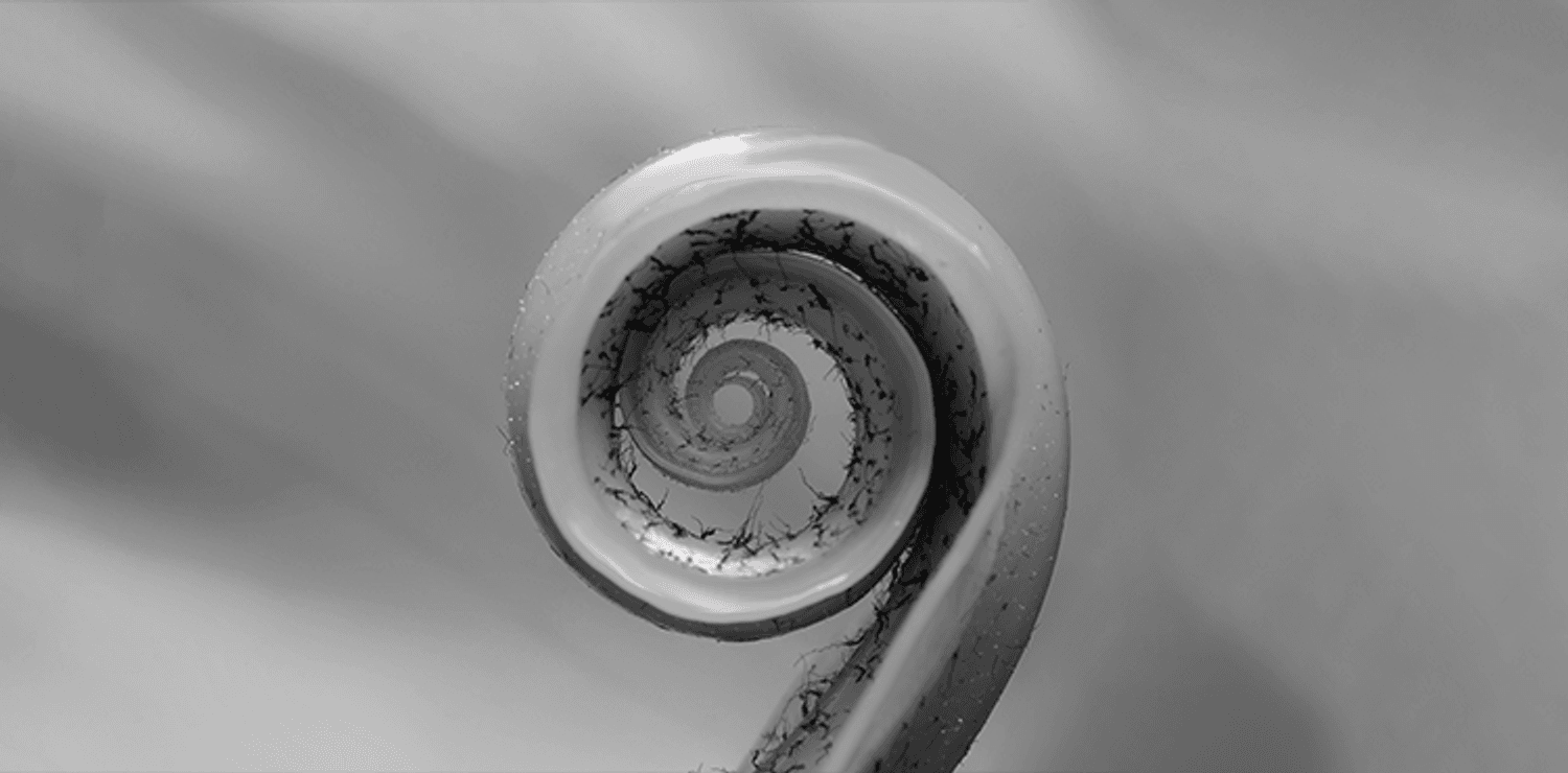 News transformation viewpoint